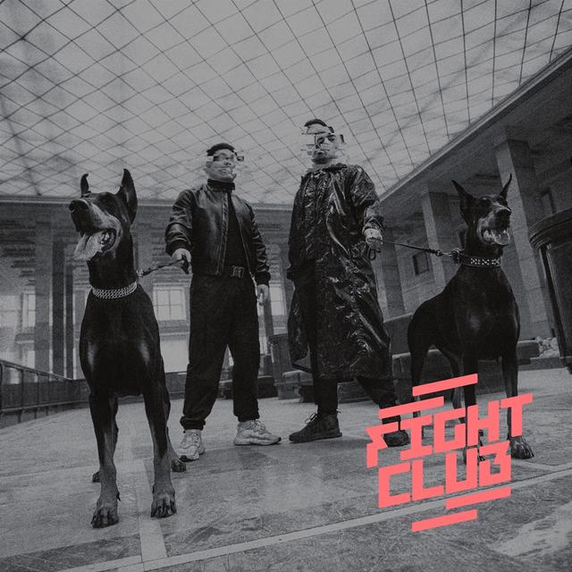 Album cover art for Fight Club