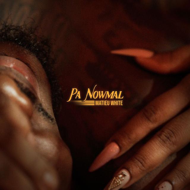 Album cover art for Pa nowmal