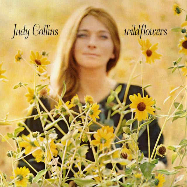 Album cover art for Wildflowers