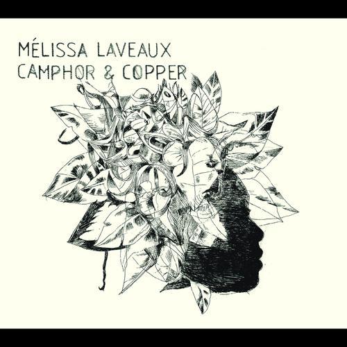 Album cover art for Camphor & Copper