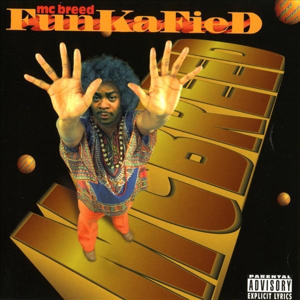 Album cover art for Funkafied