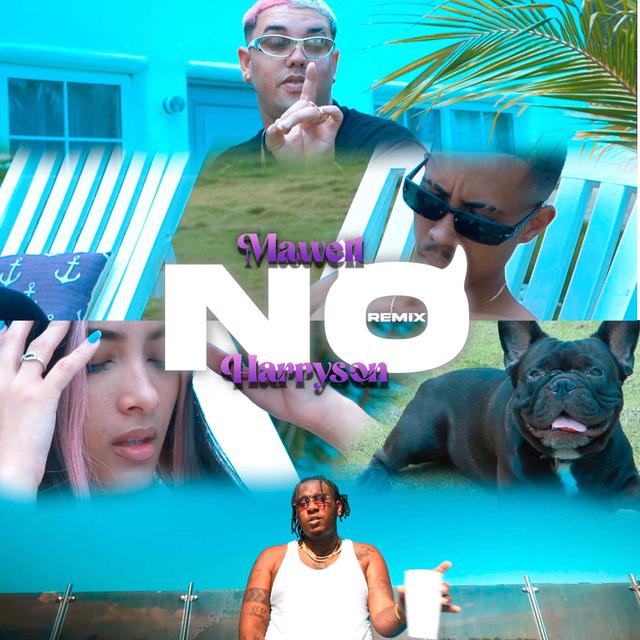 Album cover art for No