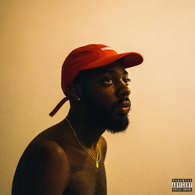 Album cover art for Sonder Son