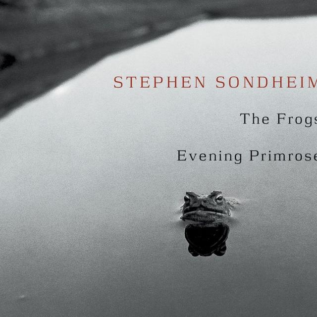 Album cover art for The Frogs / Evening Primrose