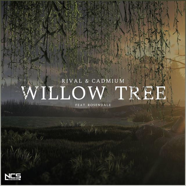 Album cover art for Willow Tree