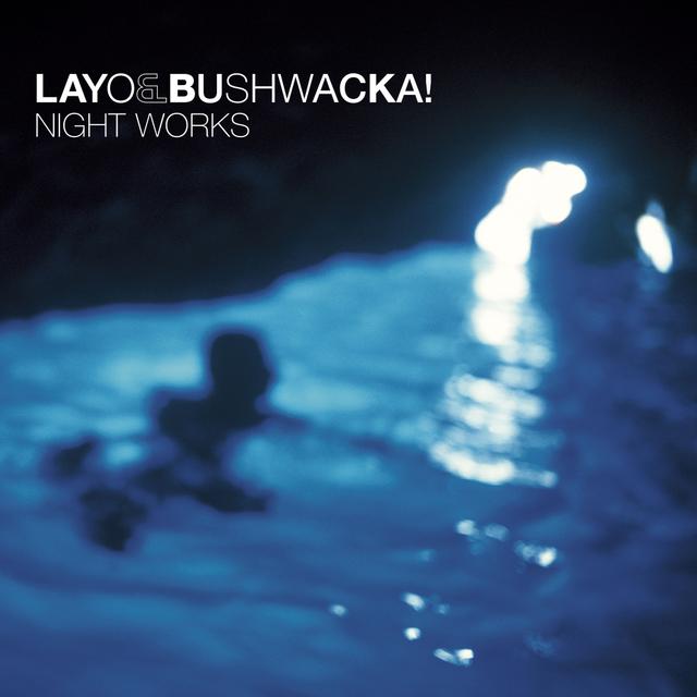 Album cover art for Night Works