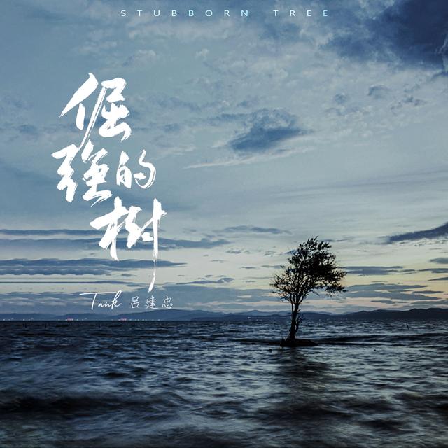 Album cover art for 倔強的樹