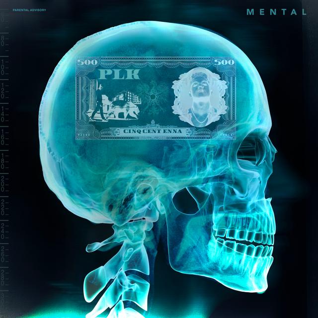 Album cover art for Mental