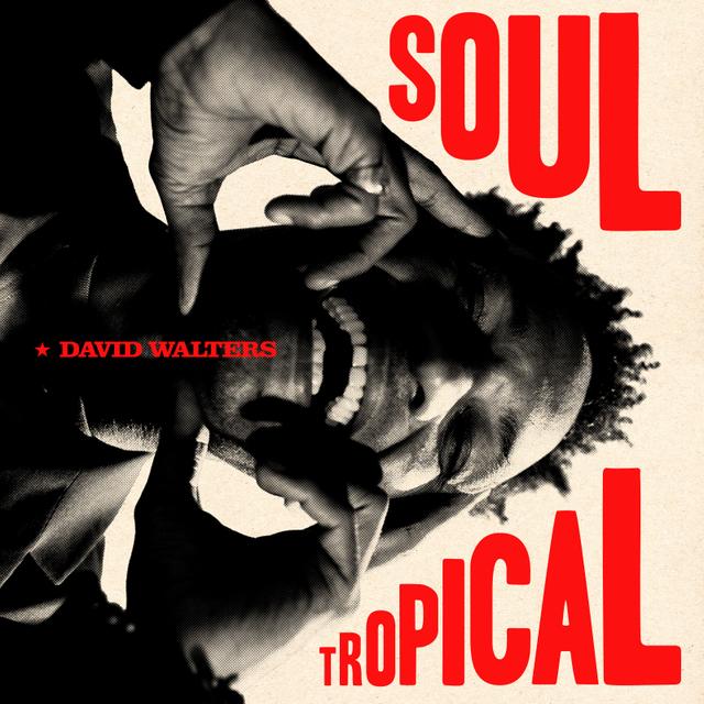 Album cover art for Soul Tropical