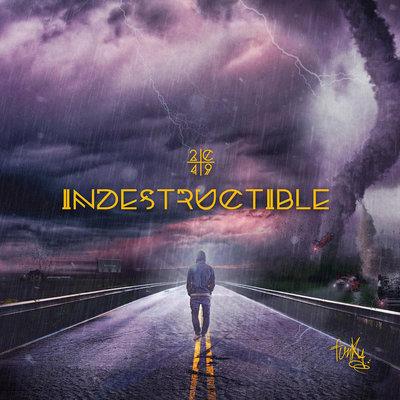 Album cover art for Indestructible