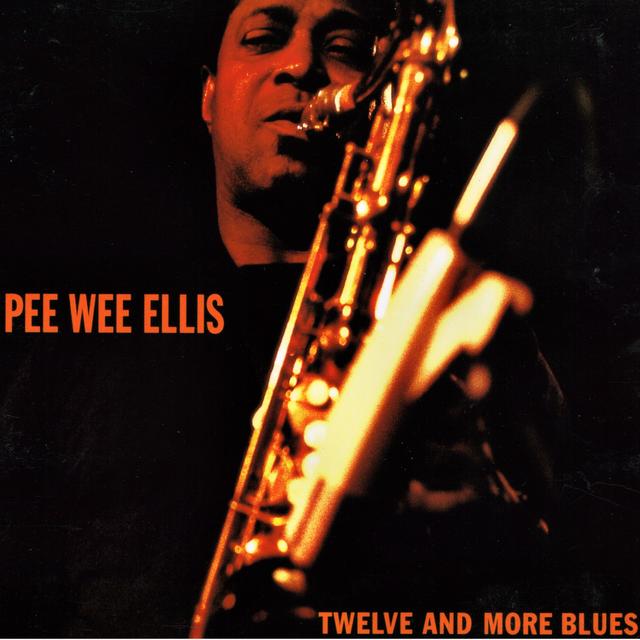 Album cover art for Twelve and More Blues