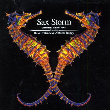 Album cover art for Sax Storm