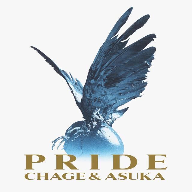 Album cover art for PRIDE