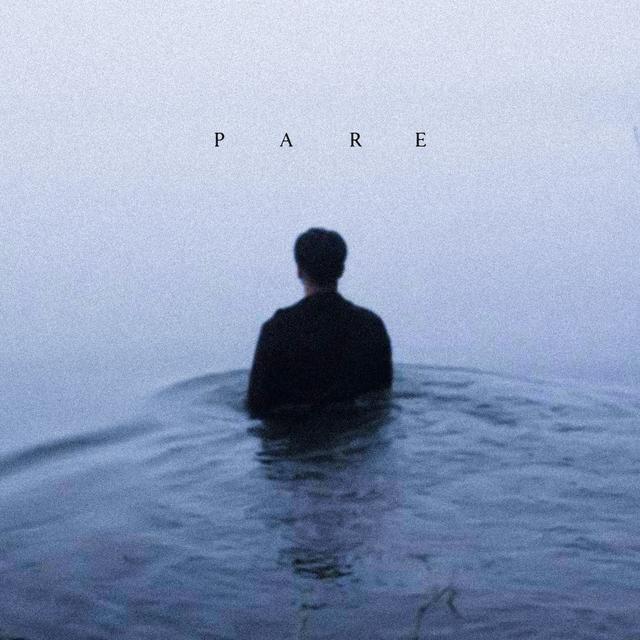 Album cover art for Pare