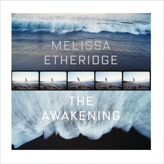 Album cover art for The Awakening