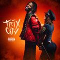 Album cover art for Trix City