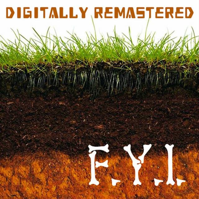 Album cover art for F.Y.I. (Digitally Remastered)