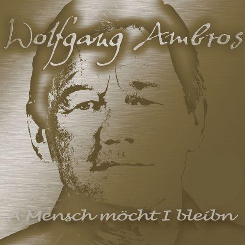 Album cover art for A Mensch möcht I bleibn