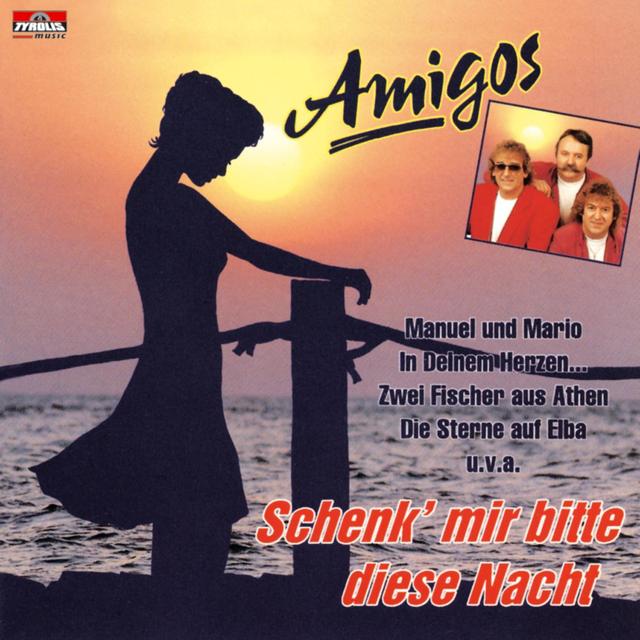 Album cover art for Schenk Mir Bitte Diese Nacht