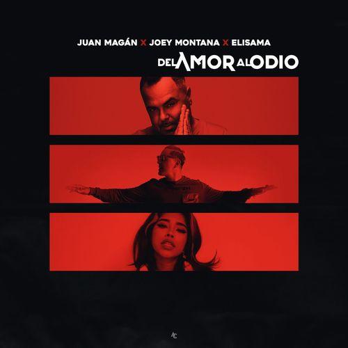 Album cover art for Del Amor Al Odio