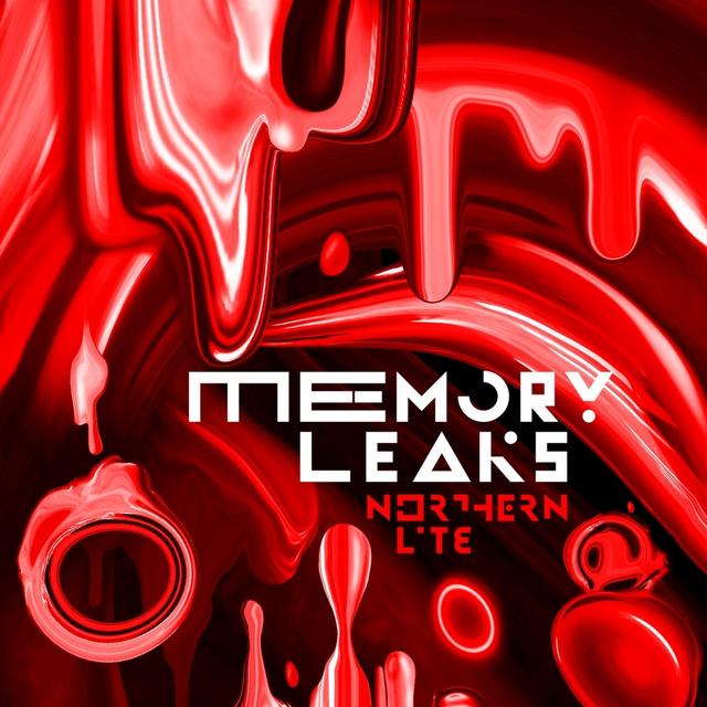 Album cover art for Memory Leaks