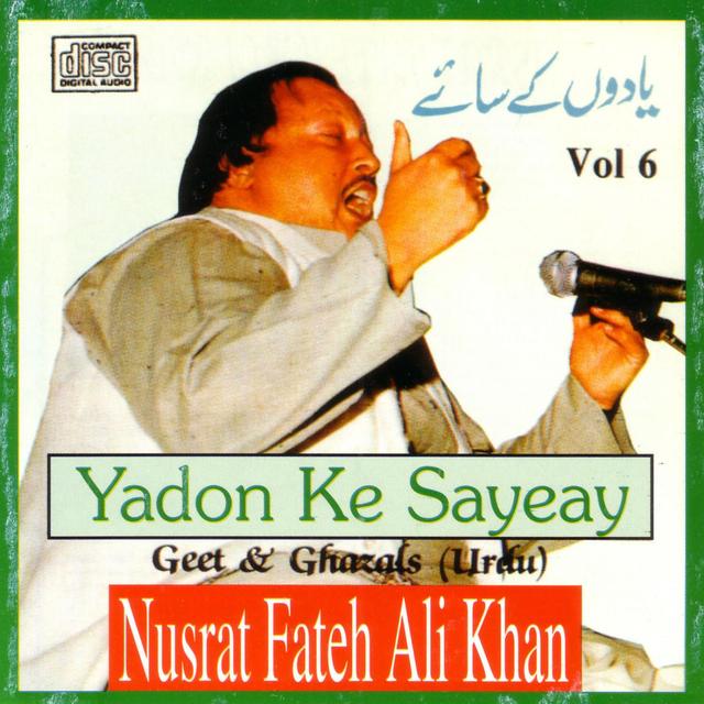 Album cover art for Yadon Ke Sayeay Vol. 6