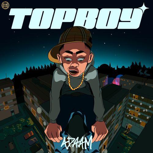 Album cover art for Topboy