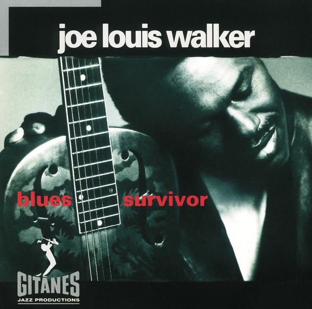 Album cover art for Blues Survivor