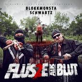 Album cover art for Flüsse aus Blut 2