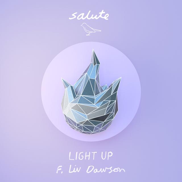 Album cover art for Light Up