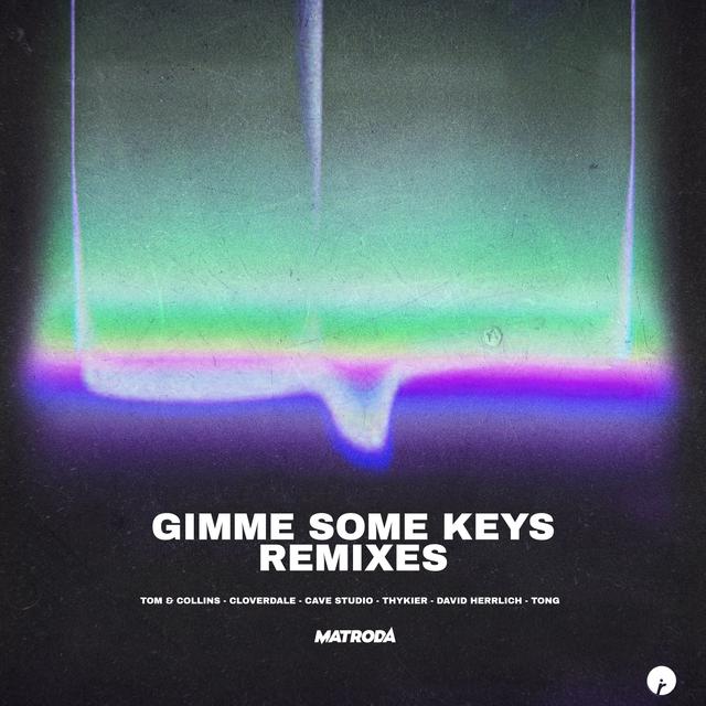 Album cover art for Gimme Some Keys