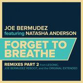 Album cover art for Forget to Breathe : Remixes Part 2