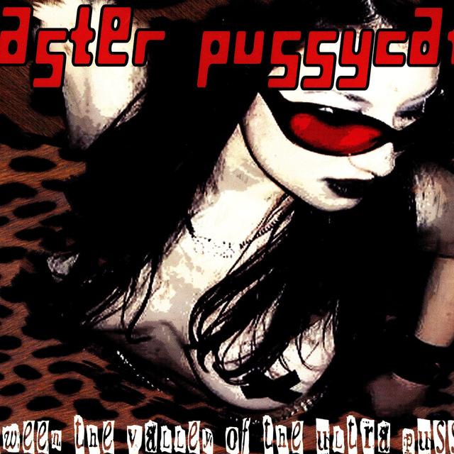 Album cover art for Between The Valley Of The Ultra Pussy