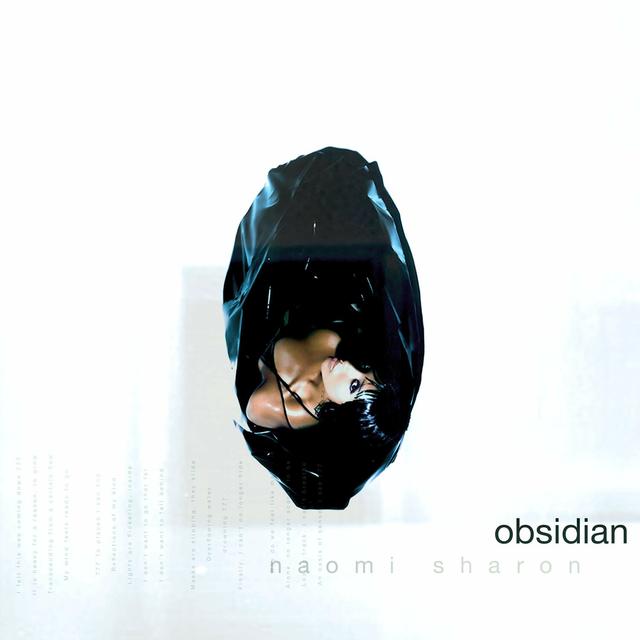 Album cover art for Obsidian