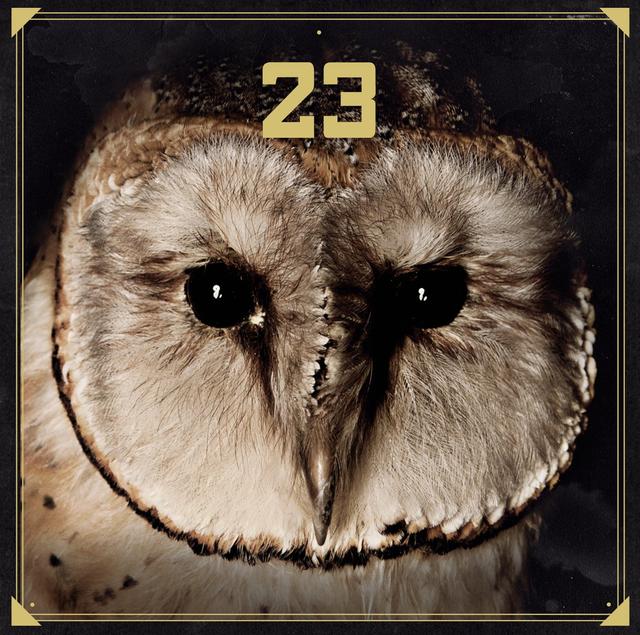 Album cover art for 23