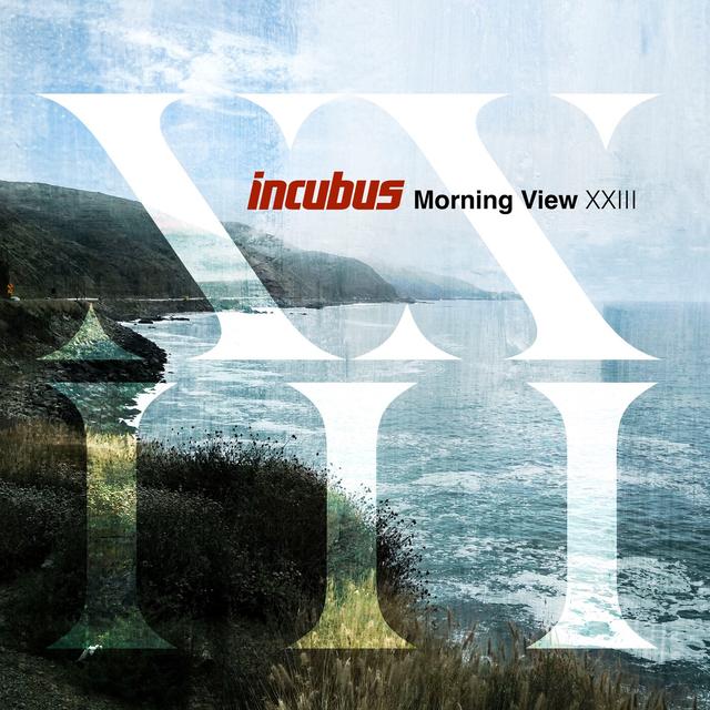 Album cover art for Morning View XXIII