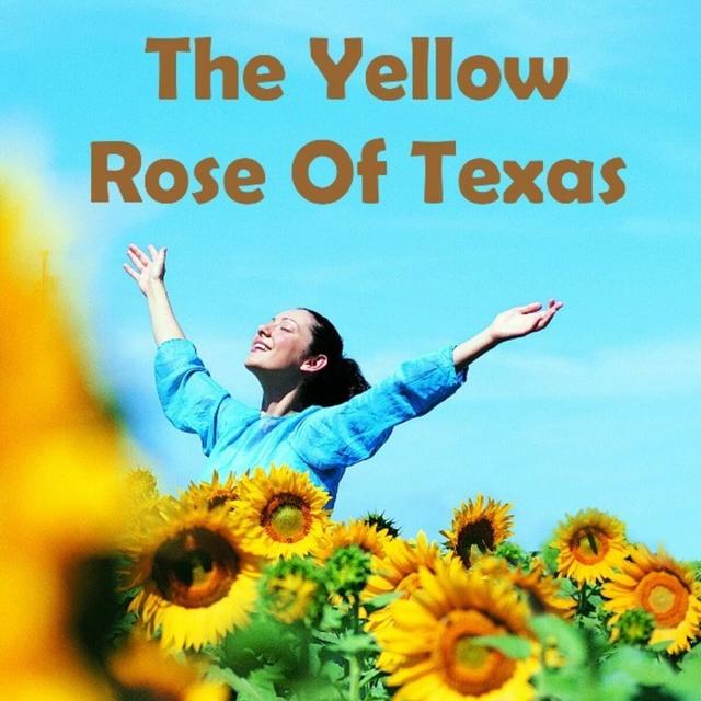 Album cover art for The Yellow Rose Of Texas