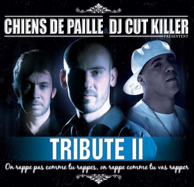 Album cover art for Tribute II