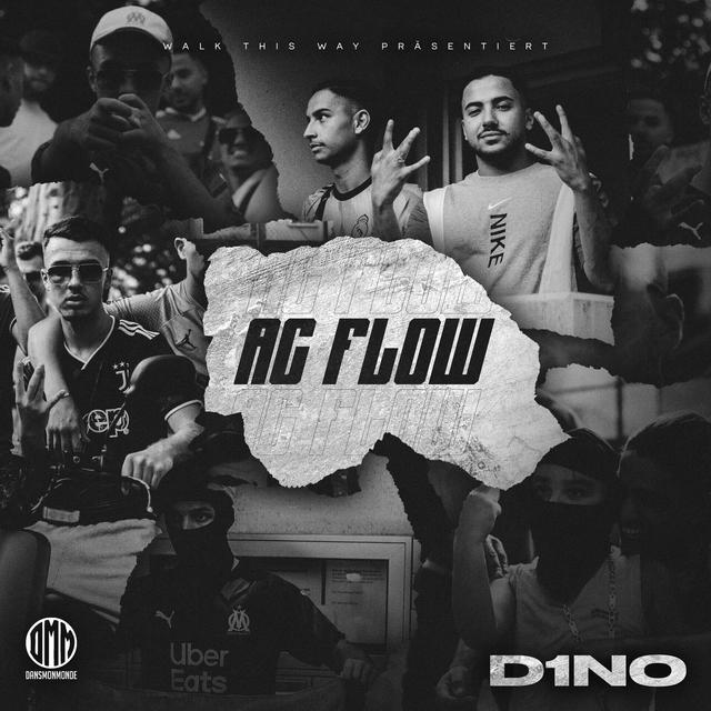 Album cover art for AC FLOW