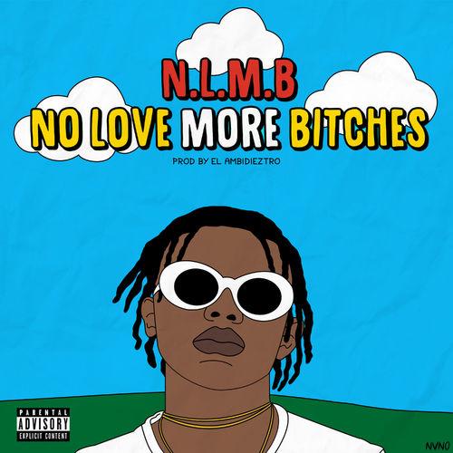 Album cover art for No Love More Bitches