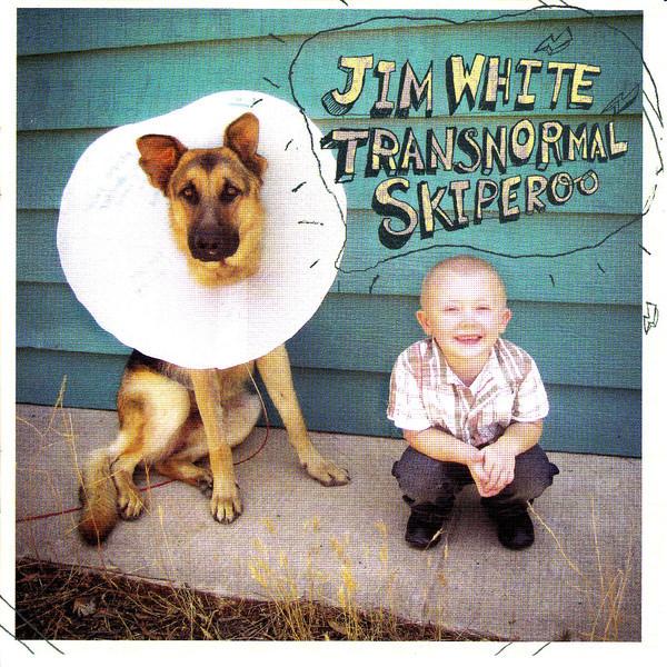 Album cover art for Transnormal Skiperoo