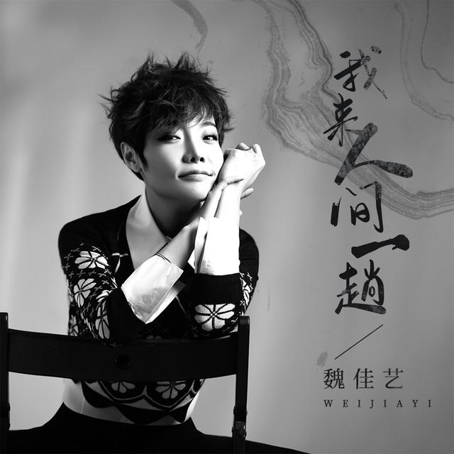 Album cover art for 我来人间一趟