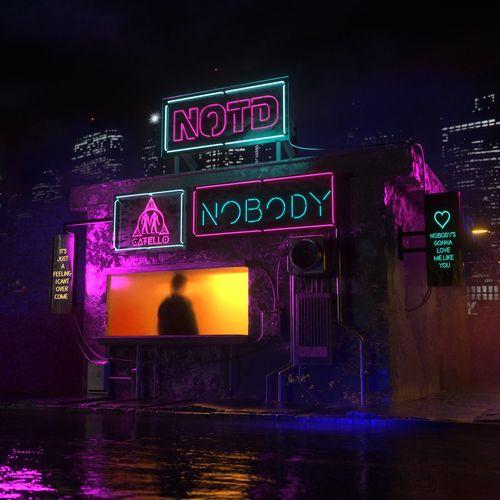 Album cover art for Nobody