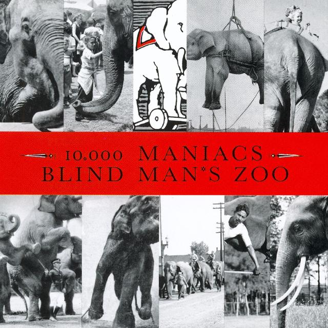 Album cover art for Blind Man's Zoo