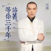 Album cover art for 站着等你三千年