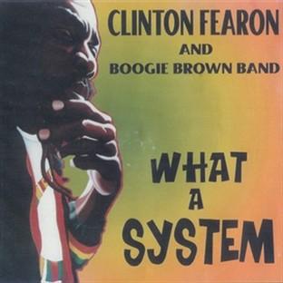 Album cover art for What a System