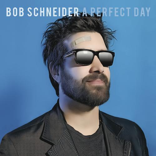 Album cover art for A Perfect Day