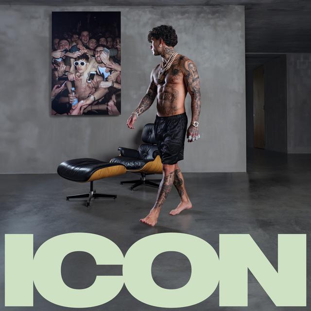 Album cover art for Icon