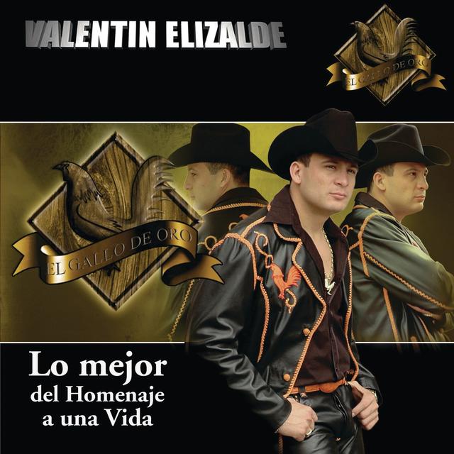 Album cover art for Lo Mejor de Homenaje a Una Vida