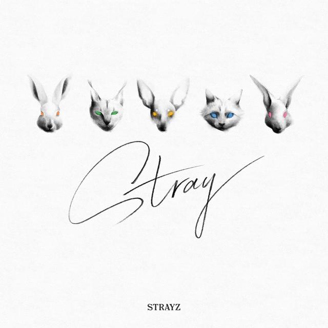 Album cover art for Stray